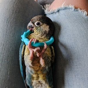 Meet your Posher, Genny